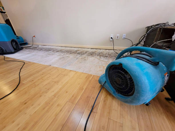 Professional Ceiling Water Damage Repair technician working in Galesville, WI