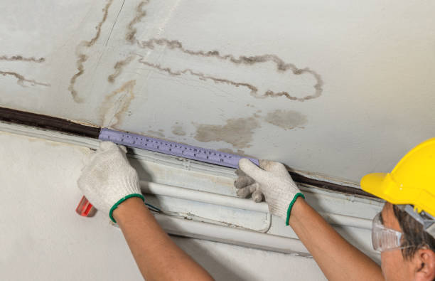 Affordable Ceiling Water Damage Repair solutions in Galesville, WI